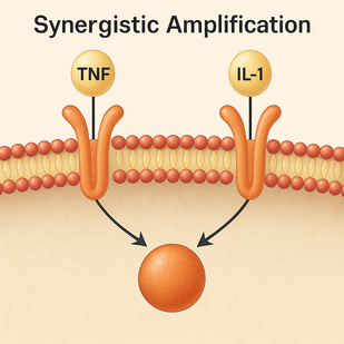 Synergistic Amplification